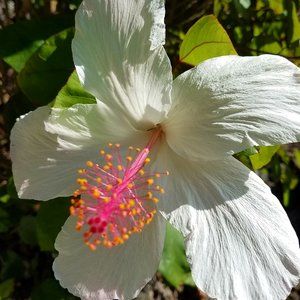 Meet your Posher, Marlene